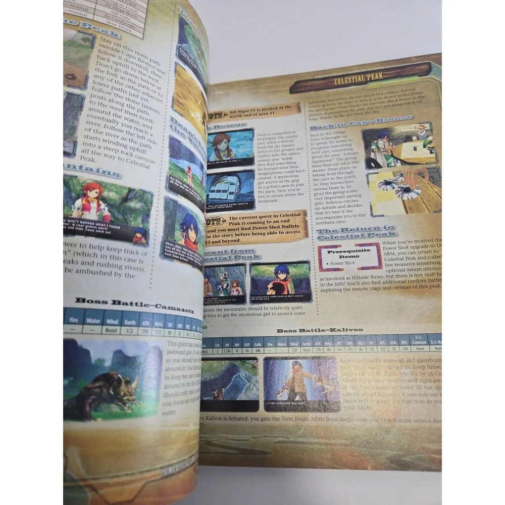 Wild Arms 5 Prima Official Strategy Guide 10th Anniversary PlayStation 2 *EUC